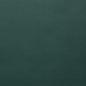 Colorguard Spruce upholstery fabric swatch