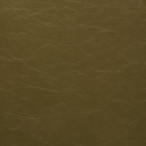 Glaze Sgl-102 Cactus upholstery fabric swatch