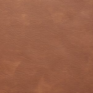 Acadia 87 Sweet Tea upholstery fabric swatch