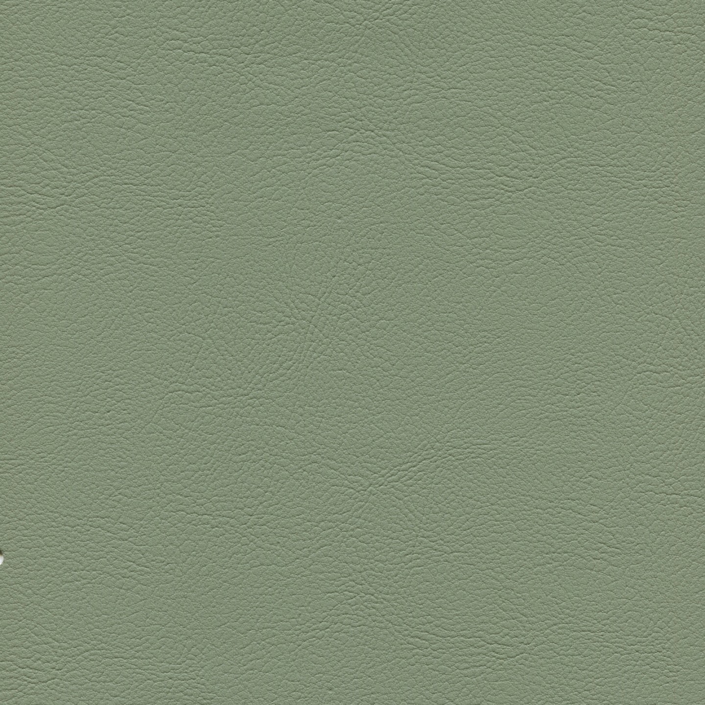 United Fabrics Ethos 25 Botanic