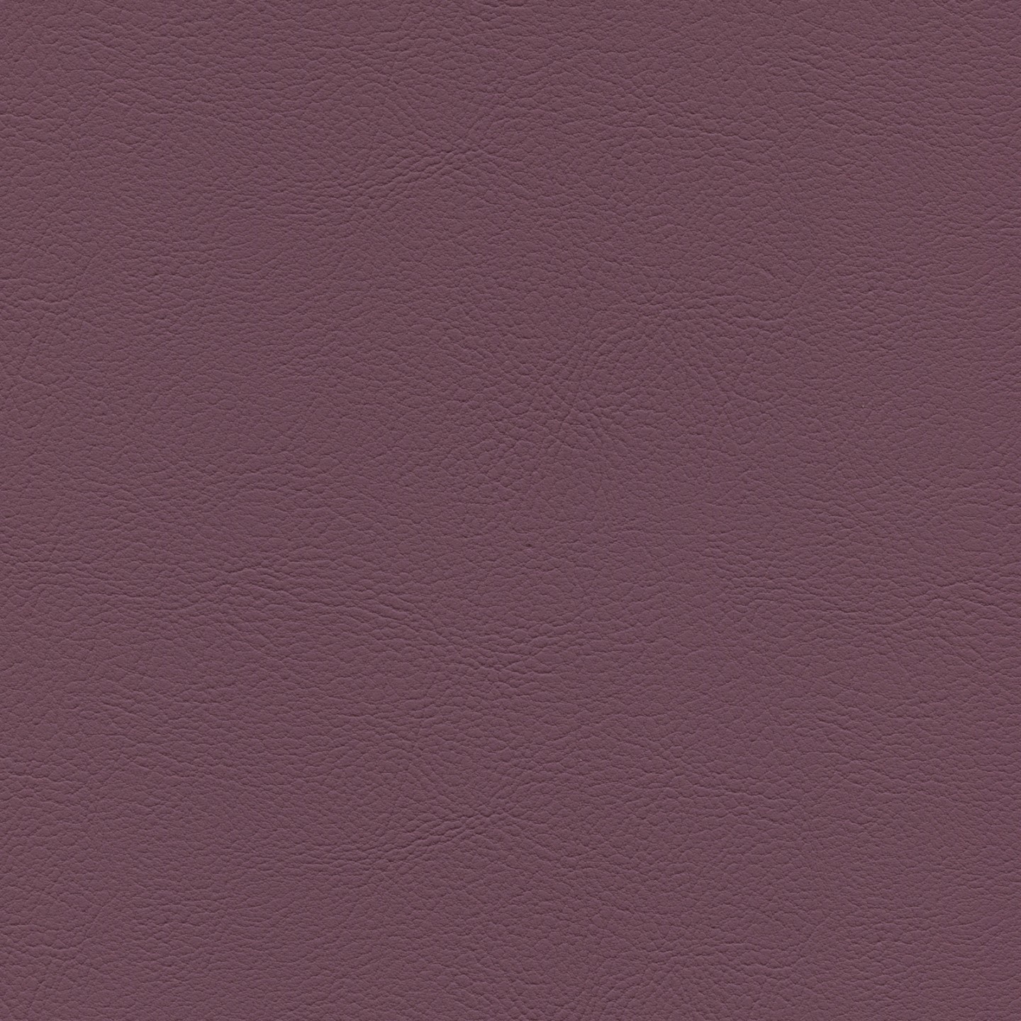 United Fabrics Ethos 48 Euphoria