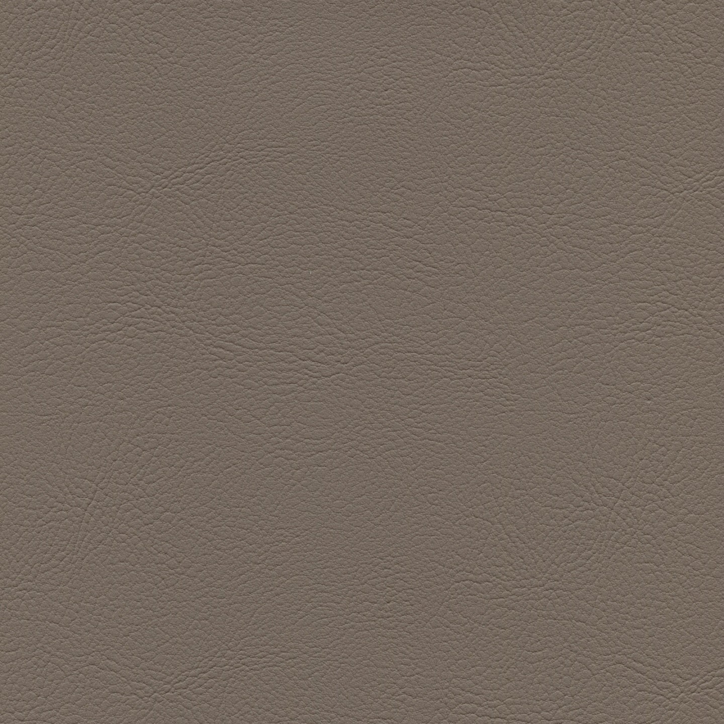 United Fabrics Modena MOD-2022 Elephant