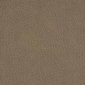Ranger 93 Weathervane upholstery fabric swatch