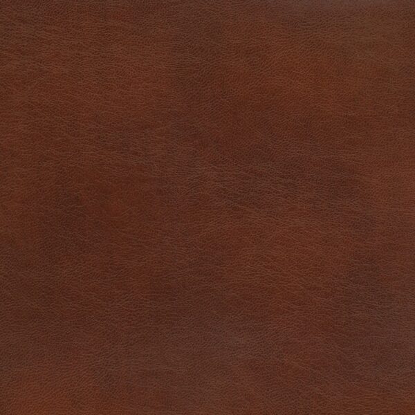 United Fabrics Rango Henna upholstery fabric swatch for sample-first furniture planning