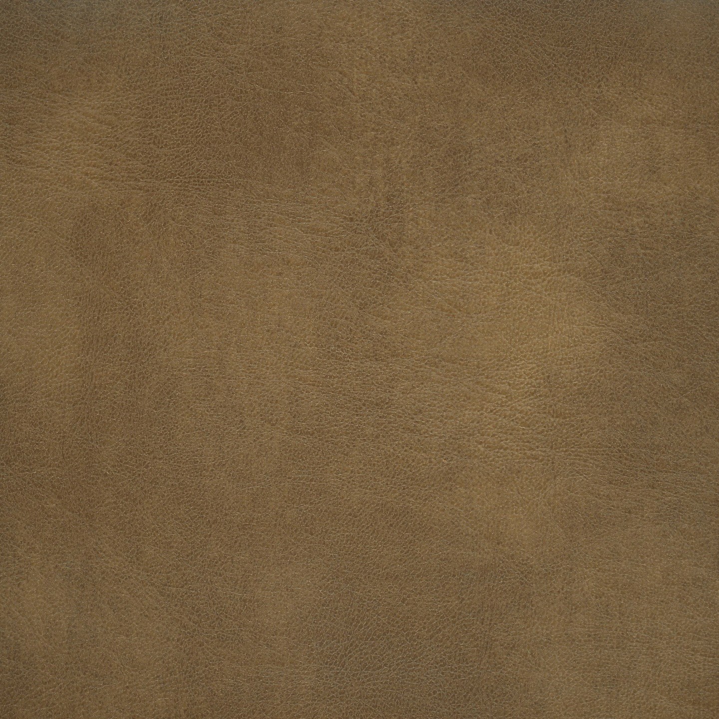 United Fabrics Rango Latte