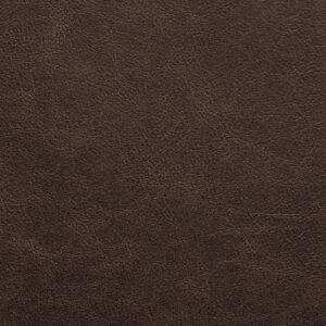 Traveler Str-004 Chestnut upholstery fabric swatch