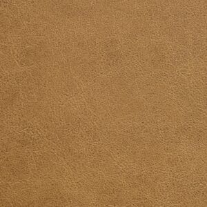 Traveler Str-009 Hay upholstery fabric swatch