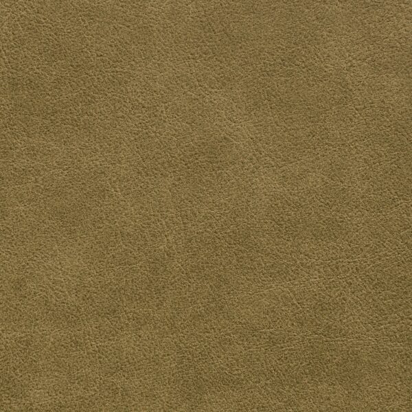 United Fabrics Traveler STR-017 Sprout upholstery fabric swatch for sample-first furniture planning