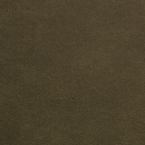 Traveler Str-020 Thyme upholstery fabric swatch