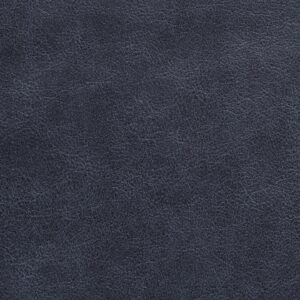 Traveler Str-024 Wrangler upholstery fabric swatch
