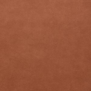 Traveler Str-016 Spice upholstery fabric swatch