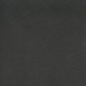 Tolstoy Ii Wty-101 Asphalt upholstery fabric swatch
