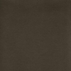 Tolstoy Ii Wty-104 Chimney upholstery fabric swatch