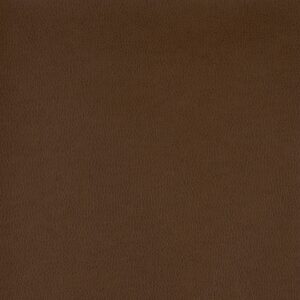 Tolstoy Ii Wty-107 Earth upholstery fabric swatch