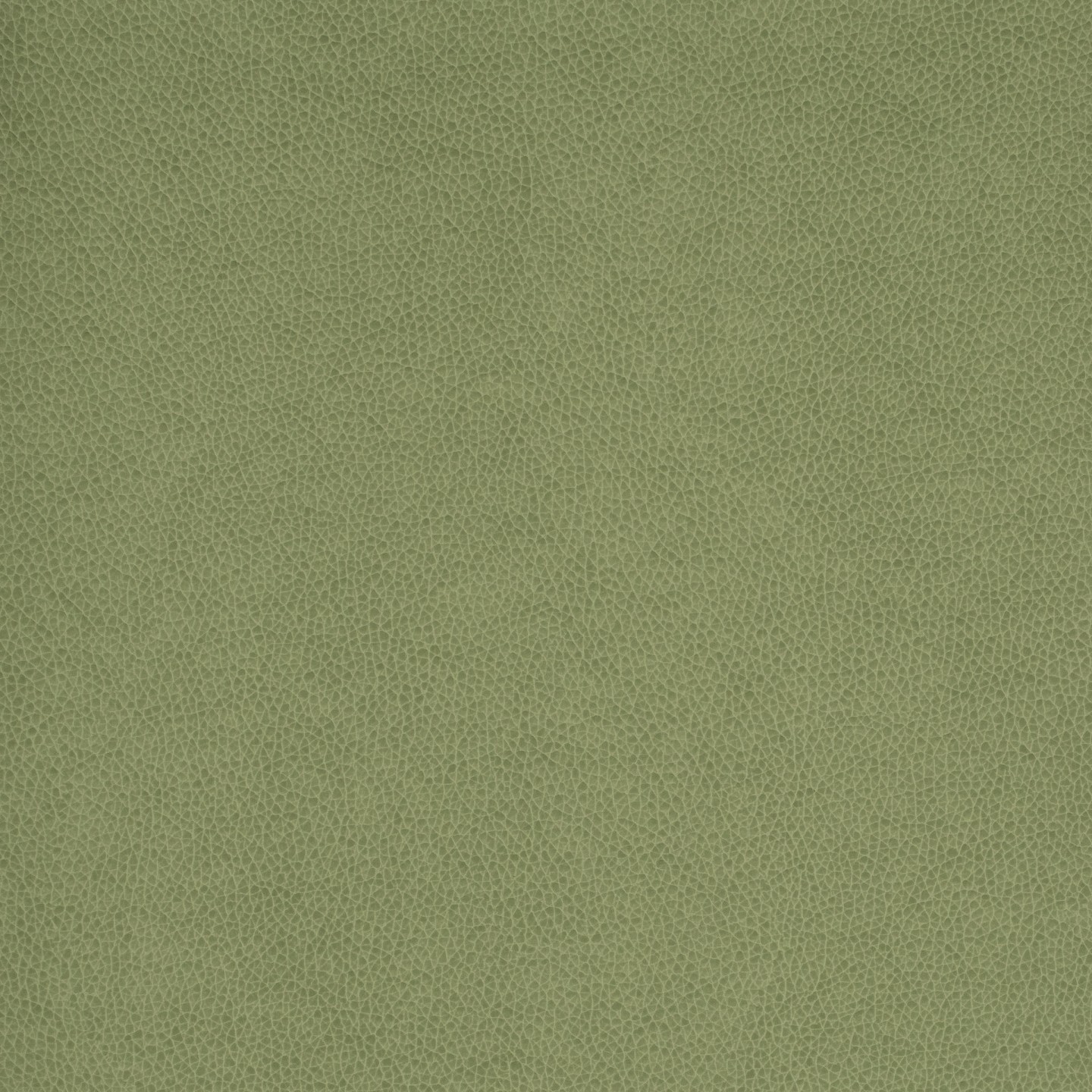 United Fabrics Holmes 35 Eucalyptus