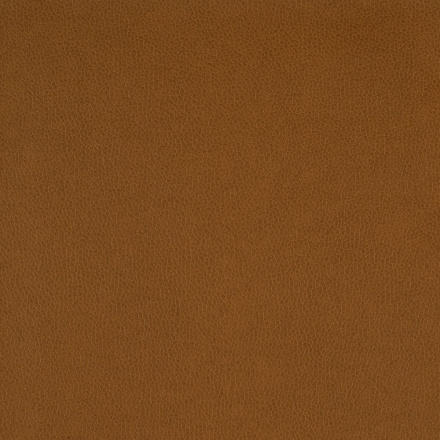 United Fabrics Tolstoy II WTY-114 Kalahari