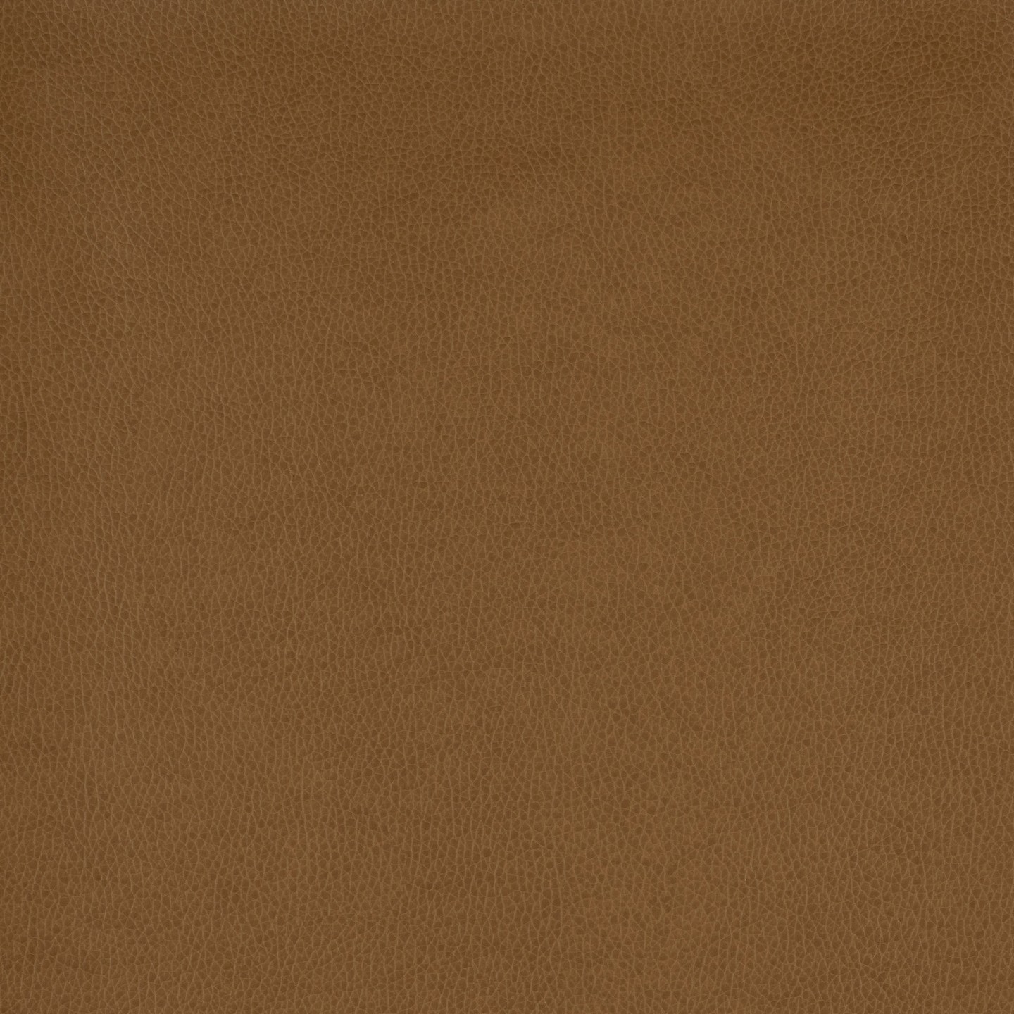 United Fabrics Tolstoy II WTY-122 Ram