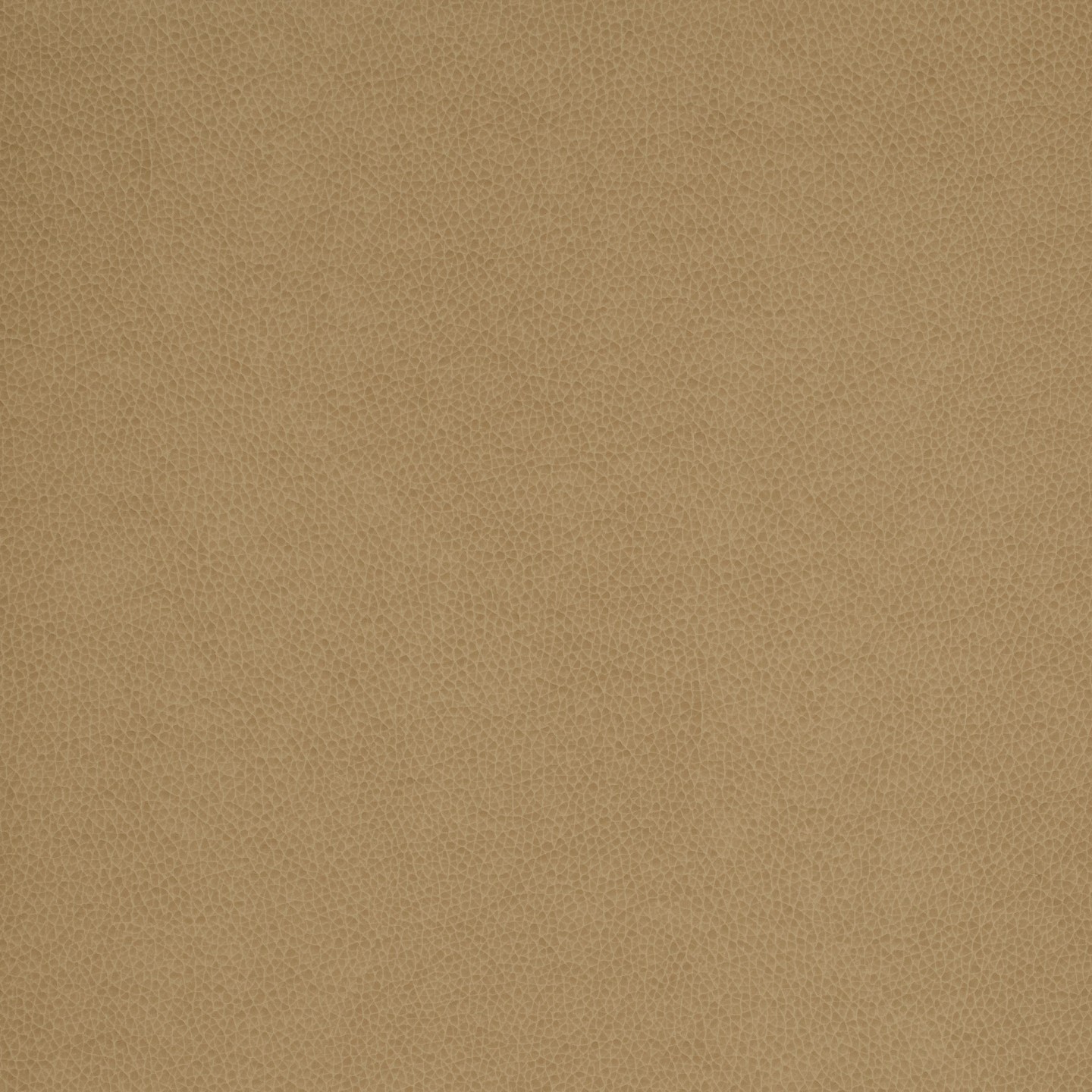 United Fabrics Tolstoy II WTY-125 Rye