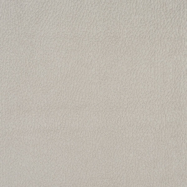 Charlotte Fabrics 2924 Dolphin