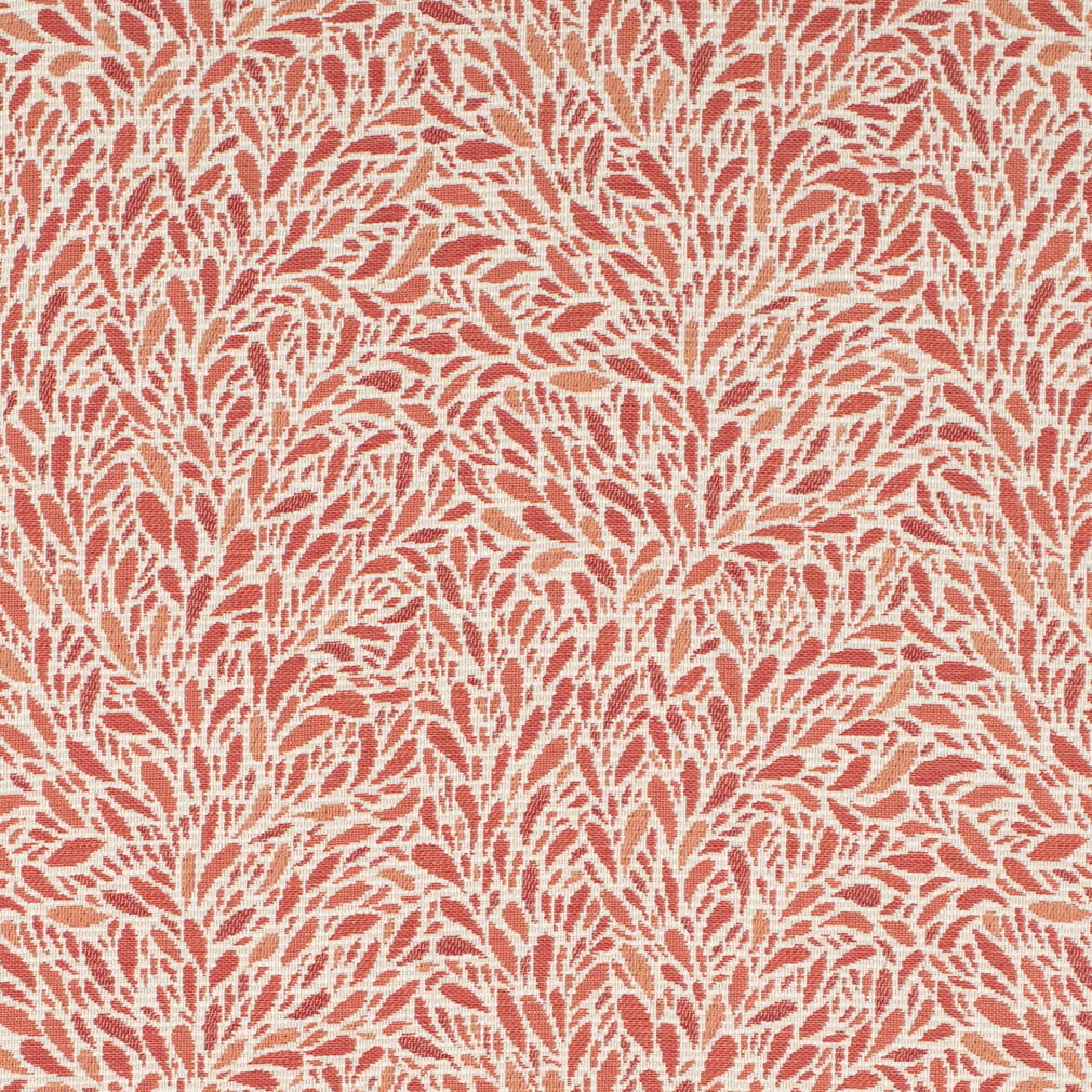 Charlotte Fabrics CB800-504