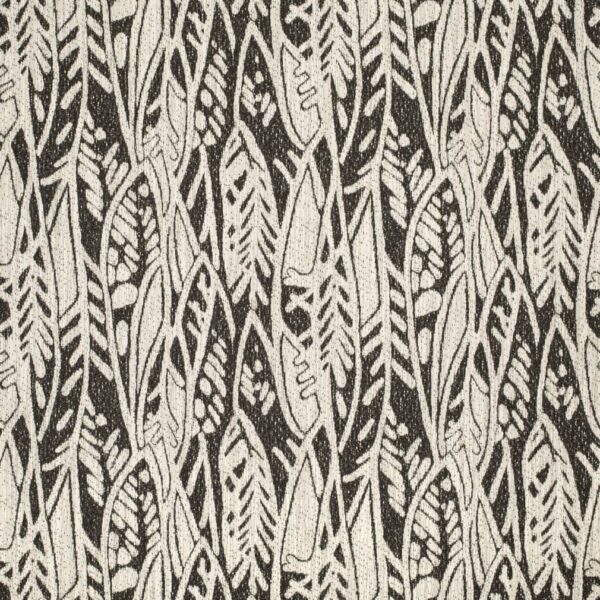 Charlotte Fabrics D4140 Raven
