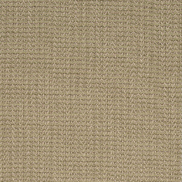 Charlotte Fabrics D4169 Fern