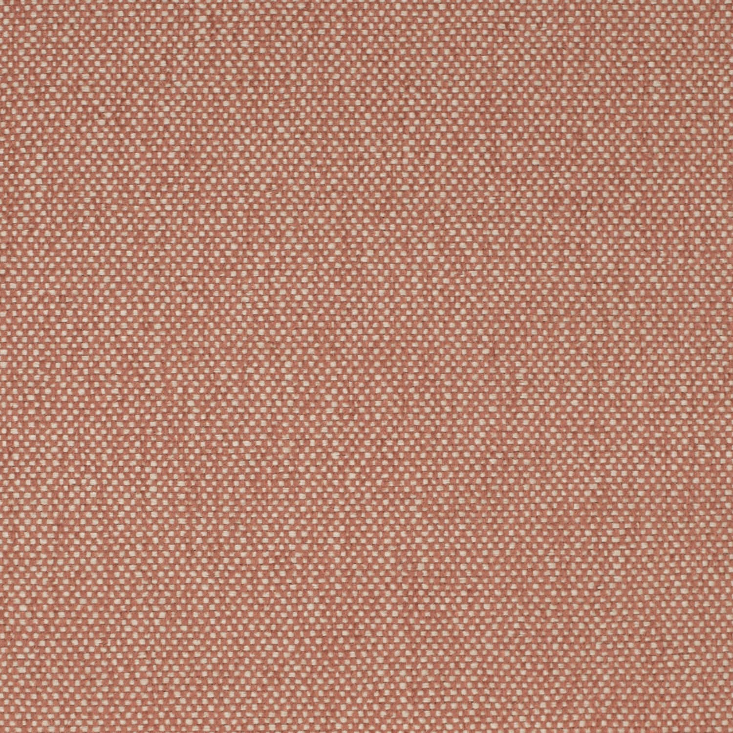 Charlotte Fabrics D4470 Adobe