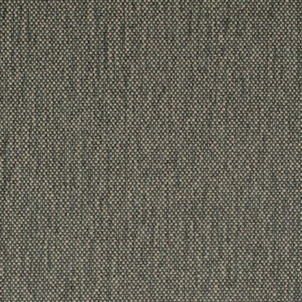 Charlotte Fabrics D4488 Zinc
