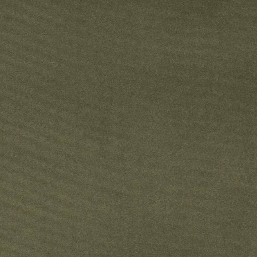 Charlotte Fabrics D4516 Dill