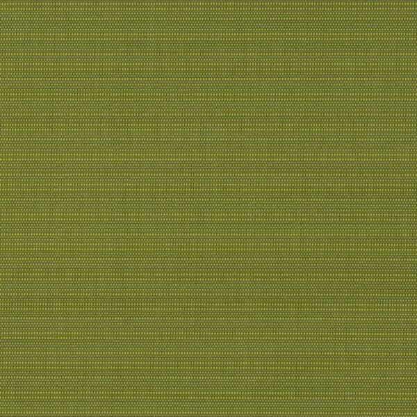 Charlotte Fabrics D4529 Retreat Grass