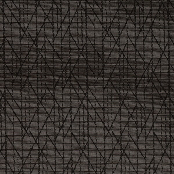 Charlotte Fabrics D4610 Raven