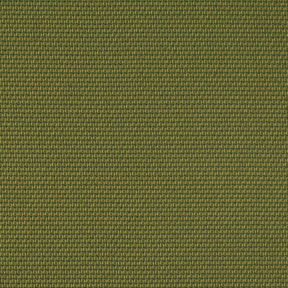Charlotte Fabrics D4629 Lime
