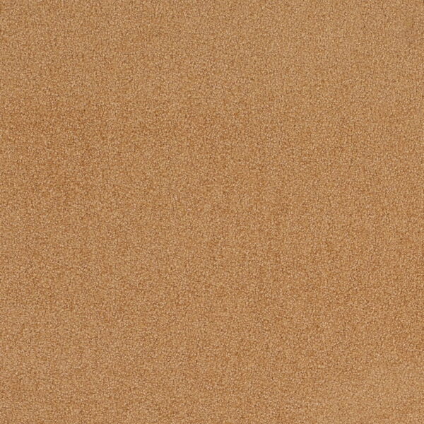 Charlotte Fabrics D4657 Desert