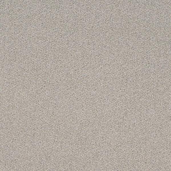 Charlotte Fabrics D4658 Sterling