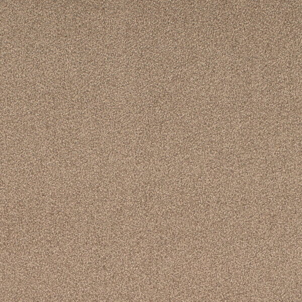 Charlotte Fabrics D4662 Taupe