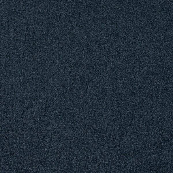 Charlotte Fabrics D4663 Blueberry