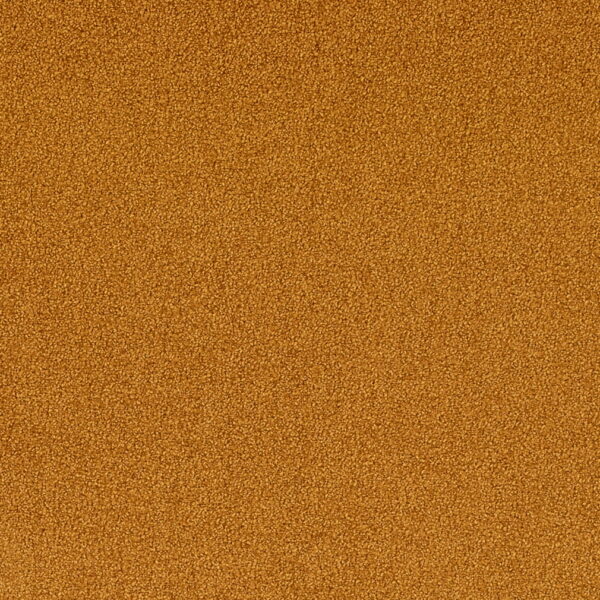 Charlotte Fabrics D4664 Turmeric