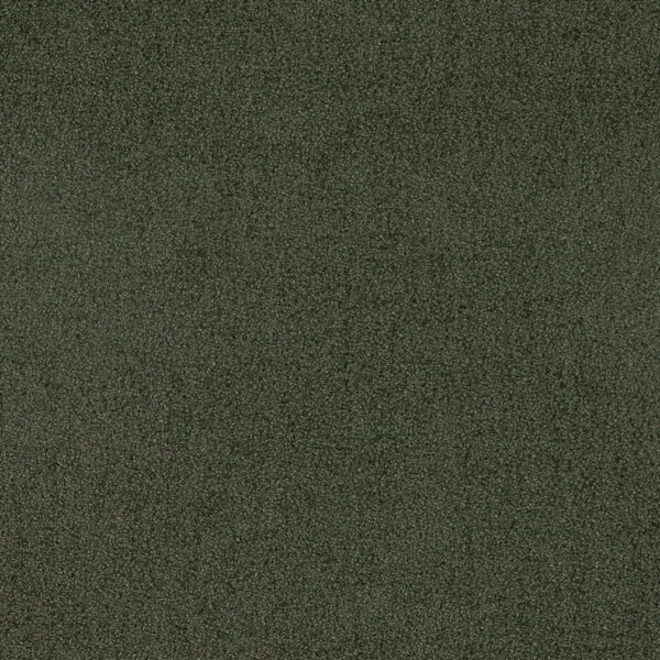 Charlotte Fabrics D4665 Eucalyptus