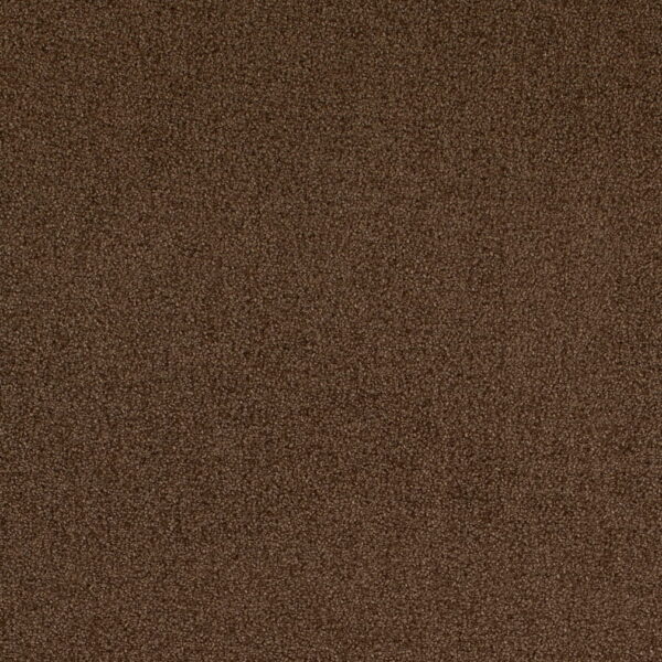 Charlotte Fabrics D4667 Pecan