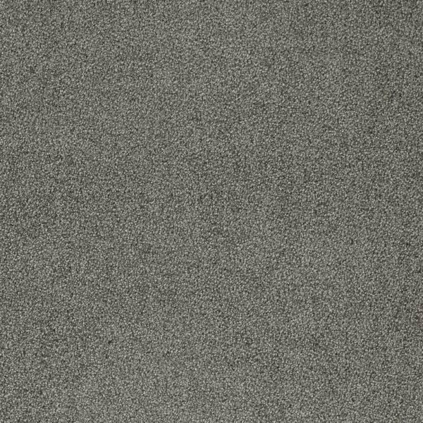 Charlotte Fabrics D4668 Cement