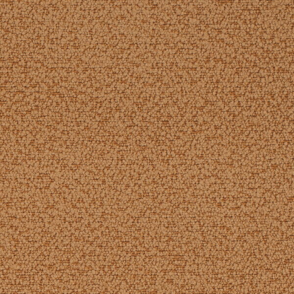 Charlotte Fabrics D4679 Tawny