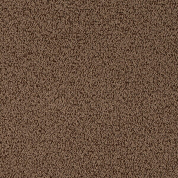 Charlotte Fabrics D4682 Cappuccino