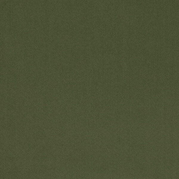 Charlotte Fabrics D4769 Basil