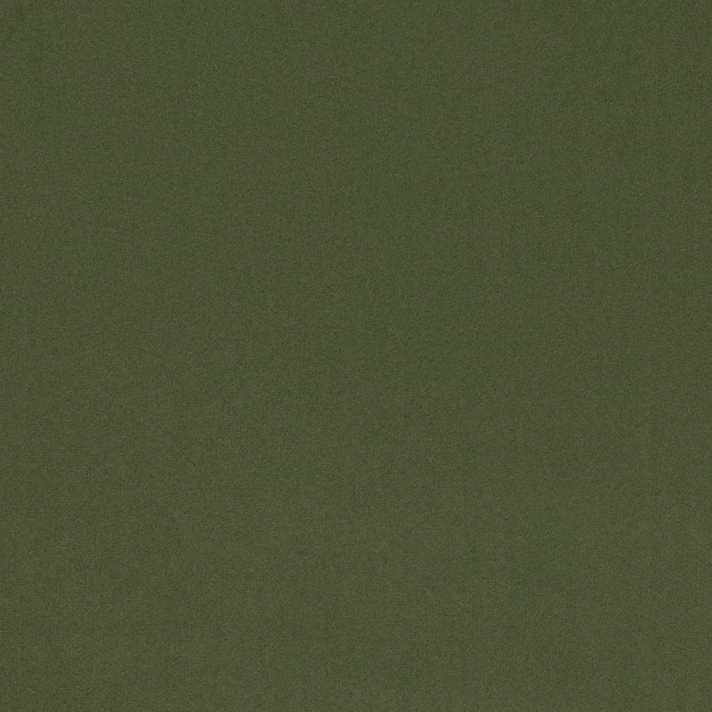 Charlotte Fabrics D4769 Basil