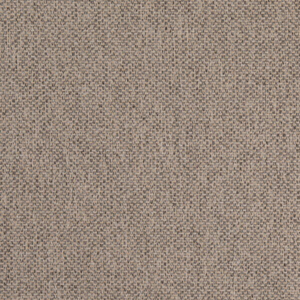 Charlotte Fabrics D4859 Dove