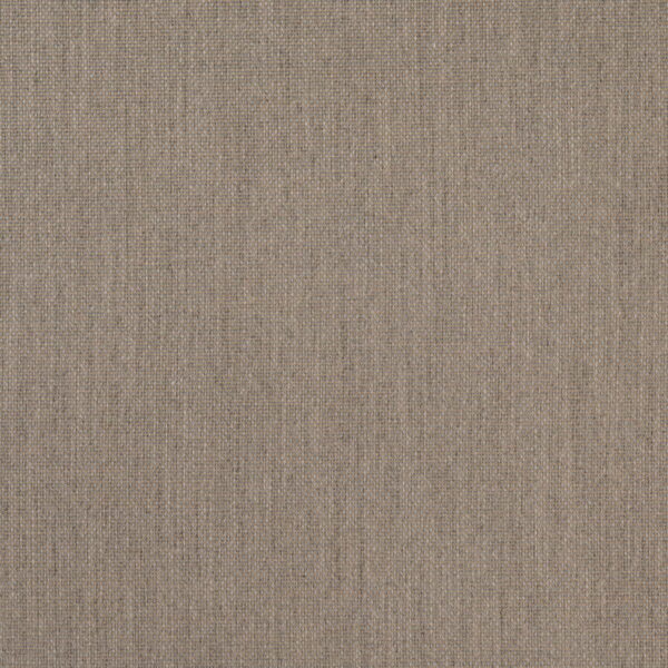 Charlotte Fabrics D4863 Driftwood