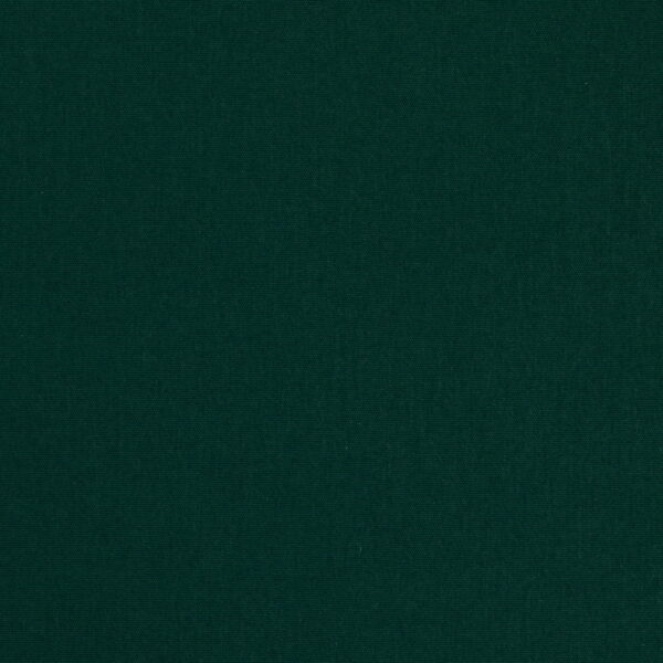 Charlotte Fabrics D4875 Hunter