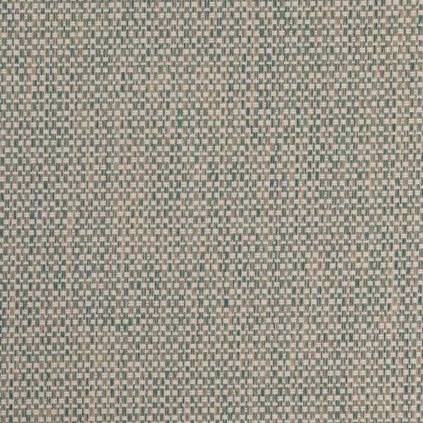 Charlotte Fabrics D4892 Pool