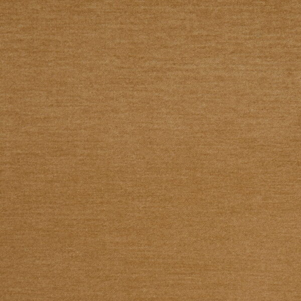 Charlotte Fabrics D4904 Honey
