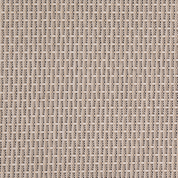 Charlotte Fabrics D4999 Stone